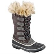 Sorel Joan of Arctic Dame, Shale